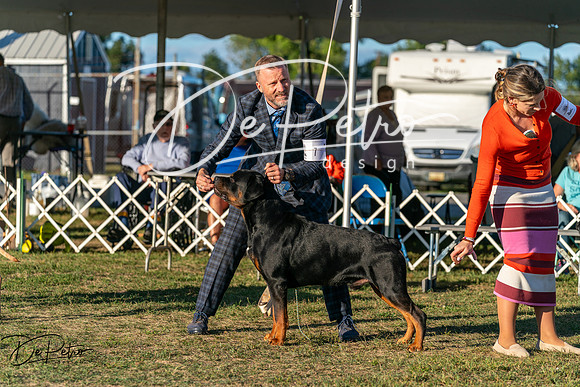 20250830-DSC07380