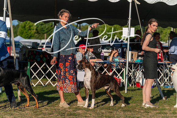 20250830-DSC07385