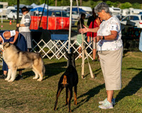 20250830-DSC07430