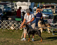 20250830-DSC07417