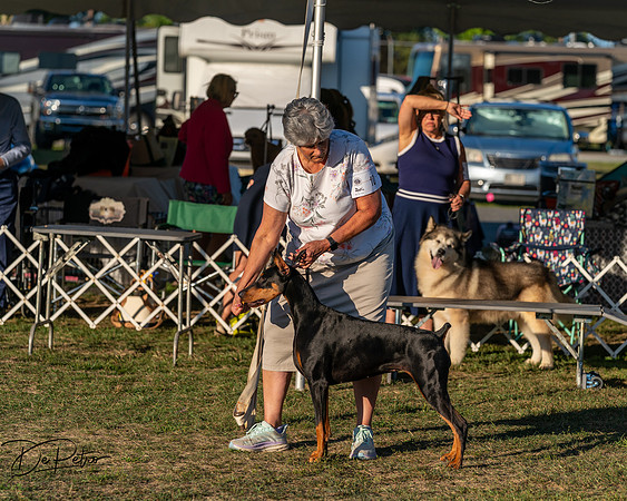 20250830-DSC07417