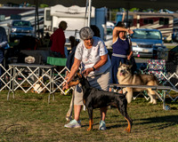 20250830-DSC07416