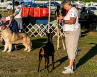 20250830-DSC07427