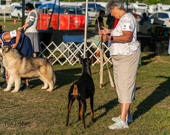 20250830-DSC07428