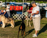 20250830-DSC07433