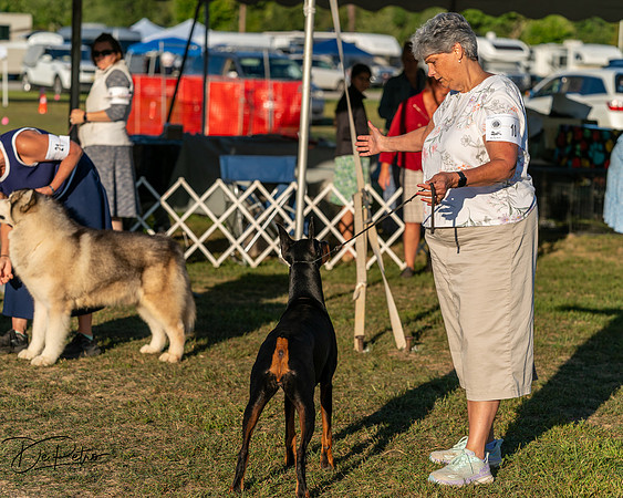 20250830-DSC07433