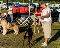 20250830-DSC07431