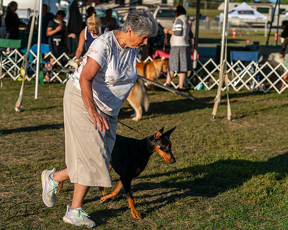 20250830-DSC07439
