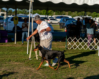 20250830-DSC07403