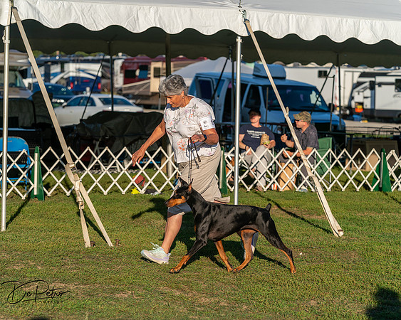 20250830-DSC07389