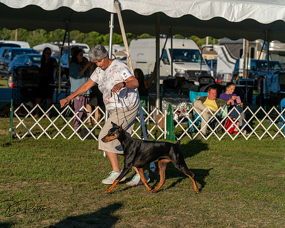 20250830-DSC07396