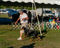 20250830-DSC07398