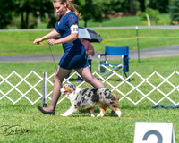 20250629-DSC00827