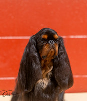 20250817-DSC03158
