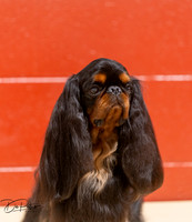 20250817-DSC03159