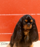 20250817-DSC03165