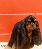 20250817-DSC03171