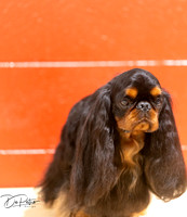 20250817-DSC03169