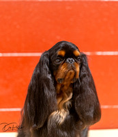 20250817-DSC03157