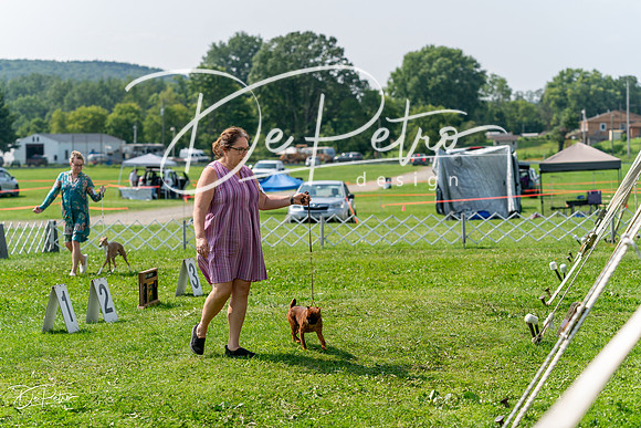 20240816-DSC00301
