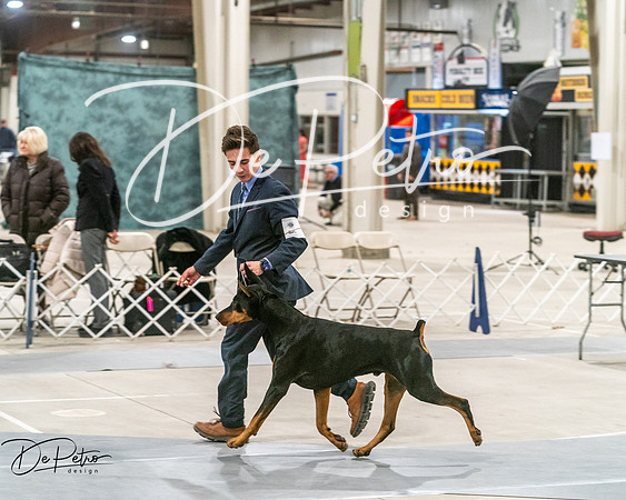 20250302-DSC07600