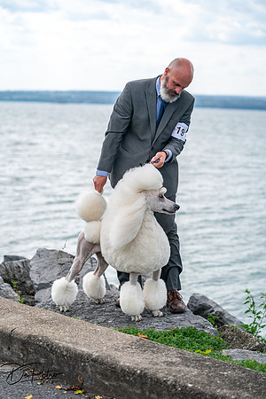 20250928-DSC00660