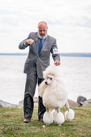 20250928-DSC00672
