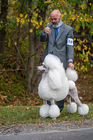 20250928-DSC00729