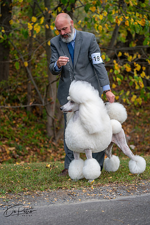 20250928-DSC00764