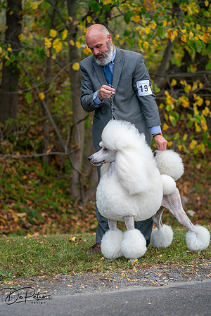 20250928-DSC00765