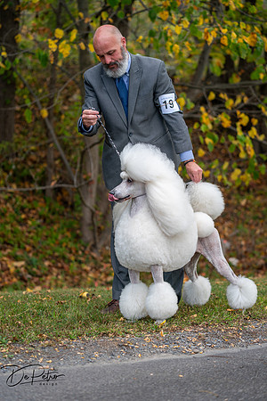 20250928-DSC00763