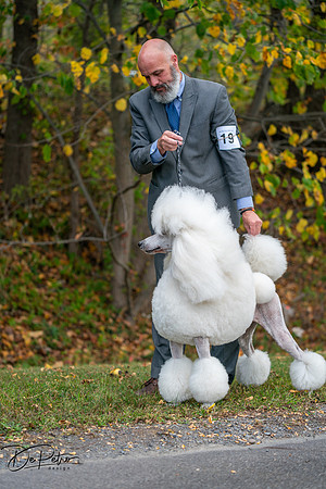 20250928-DSC00767