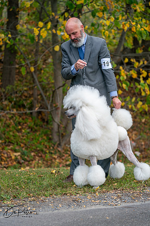 20250928-DSC00768