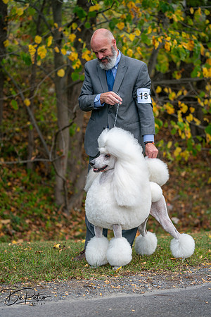20250928-DSC00787
