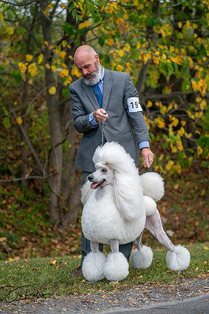 20250928-DSC00793