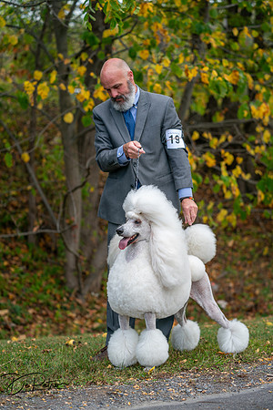 20250928-DSC00794