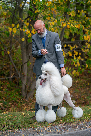 20250928-DSC00795