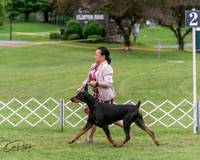 20250628-DSC07179
