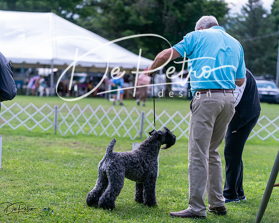20240630-DSC03700