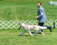 20250629-DSC09683