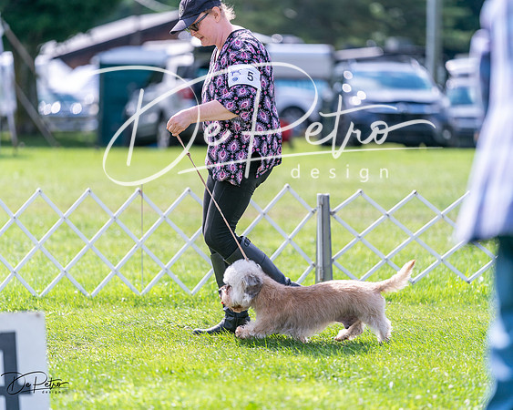 20240630-DSC03795