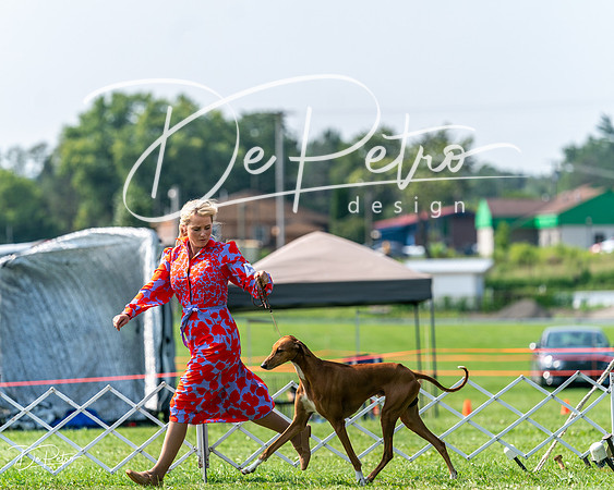 20240816-DSC00600