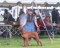 20250626-DSC04376