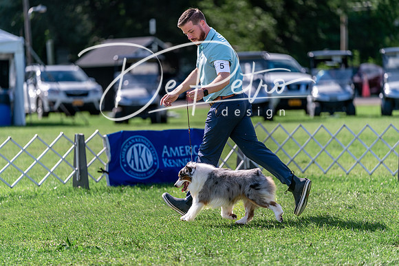 20240630-DSC04888