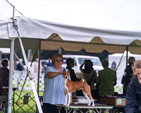 20250626-DSC04431