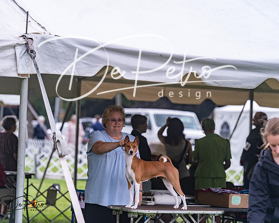 20250626-DSC04431