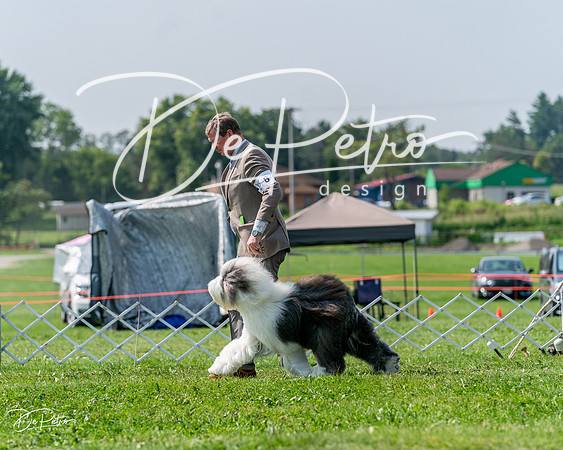 20240816-DSC00516