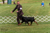 20250628-DSC08060