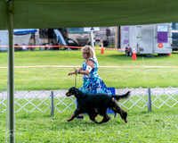 20240815-DSC07920