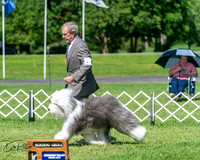 20250629-DSC00786